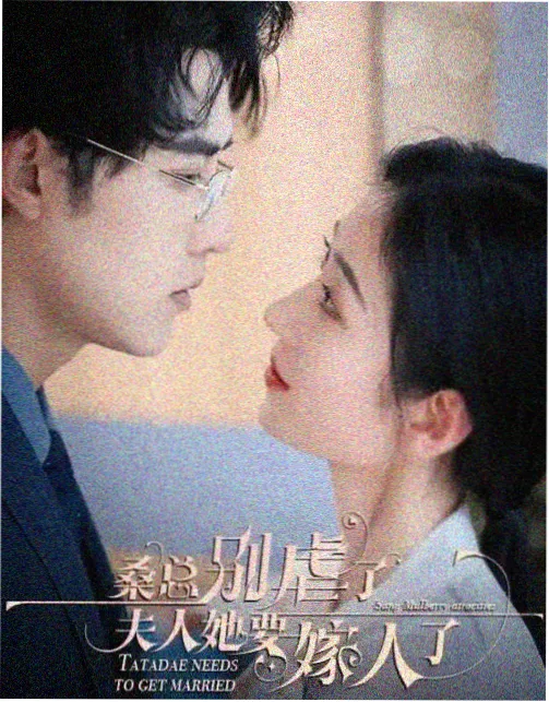 十七楼的灯 手机在线观看视频网站都市剧封面